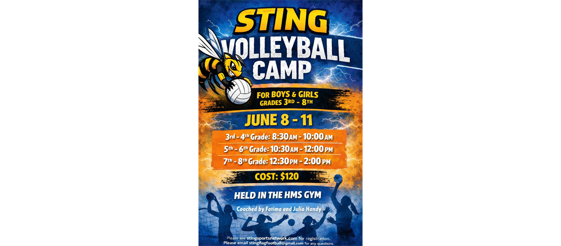 Sting Volleyball